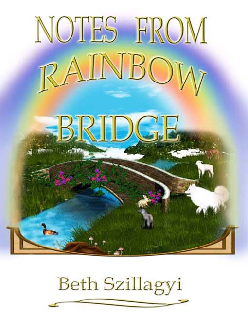 Title details for Notes From Rainbow Bridge by Beth Szillagyi - Available